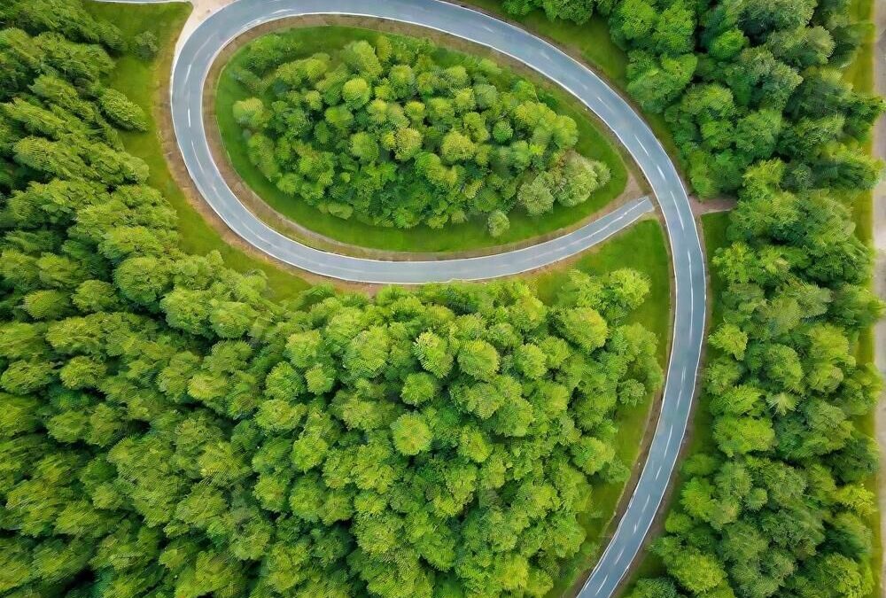 Taiwan’s Regulatory Evolution: Addressing Key Standards