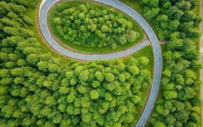 土地面積與公共利益的關鍵探討