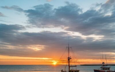  死了一條龍王鯛以後，我們要思考如何處理現行的漁業