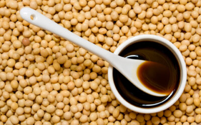 Ensuring Safety in Our Egg Supply Chain